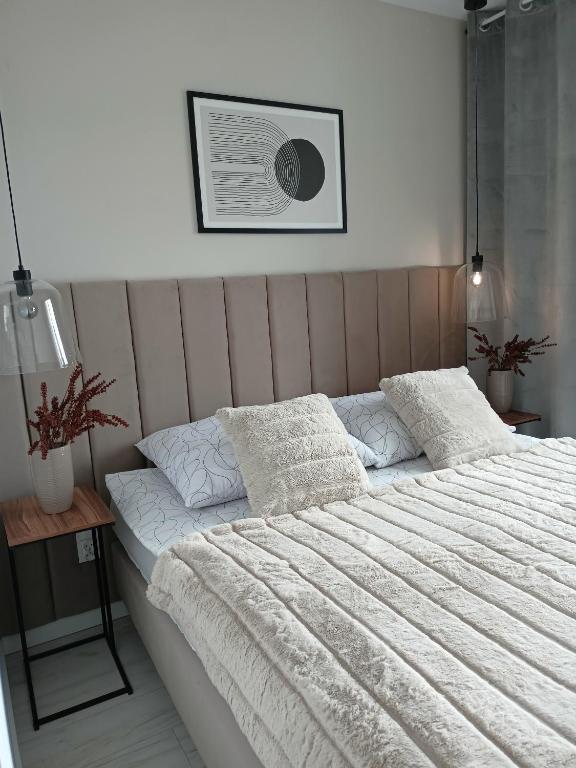 Apartament z 2 sypialniami - Nova Ludova - blisko 2 jezior - 1