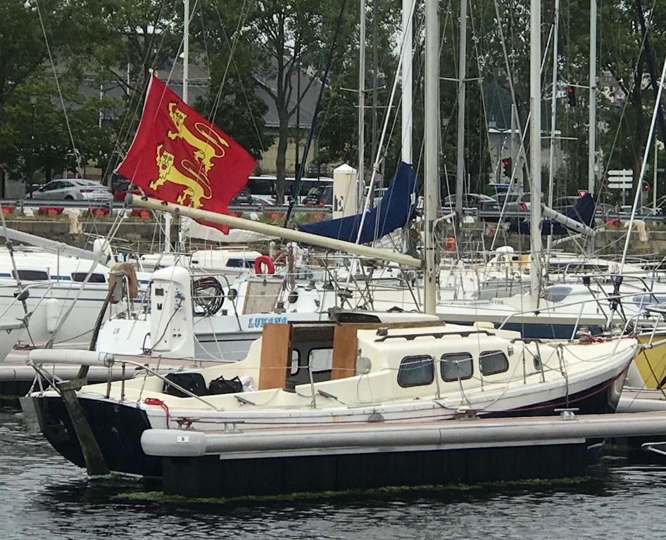 a group of boats docked in a harbor with a flag at Baroudeur des mers in Le Havre