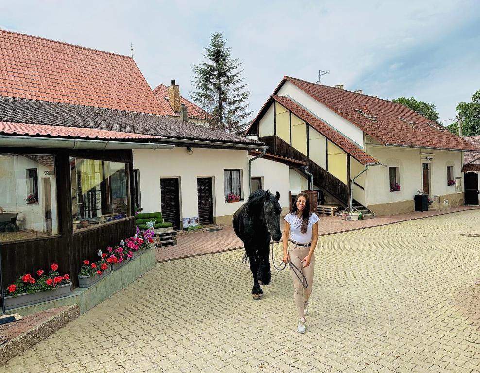 Hosté ubytování Penzion Arendel