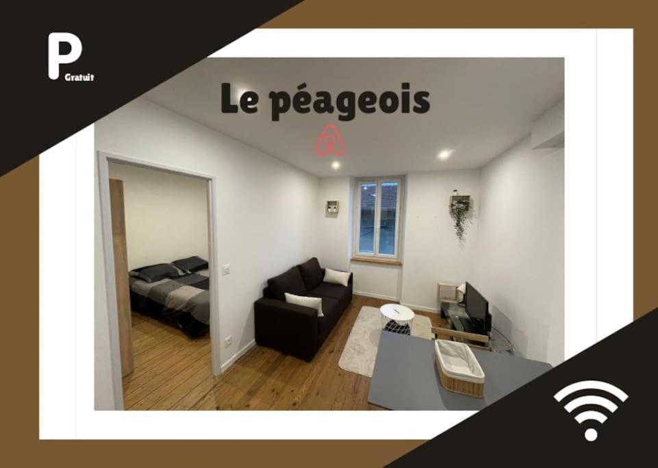un salon avec un lit et un canapé dans l'établissement Le péageois : Appartement lumineux et calme, à Bourg-de-Péage