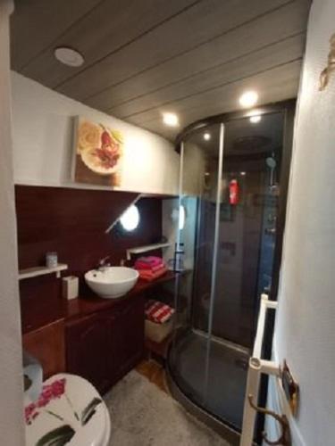 a bathroom with a shower and a toilet and a sink at Bateau Mariance in Ginestas