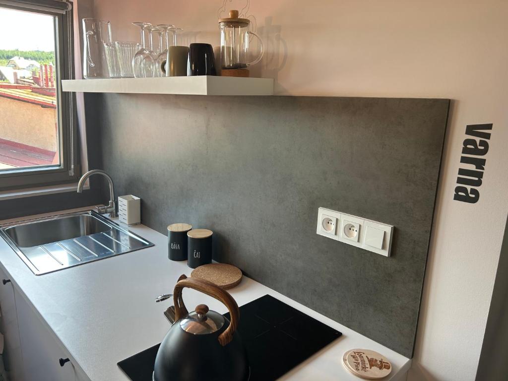 Kuchyň nebo kuchyňský kout v ubytování Apartmány v lomnickém pivovaru