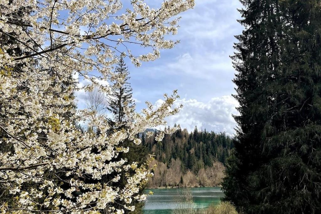 Naturlandschaft in der Nähe der Ferienwohnung