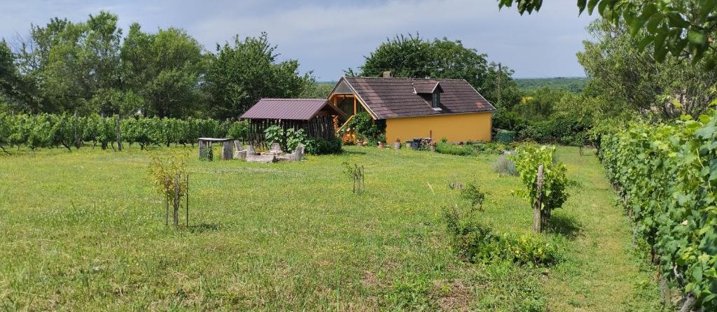 une maison au milieu d'un champ dans l'établissement Kádárok Vendégháza a Somló-hegyen, à Somlószőlős