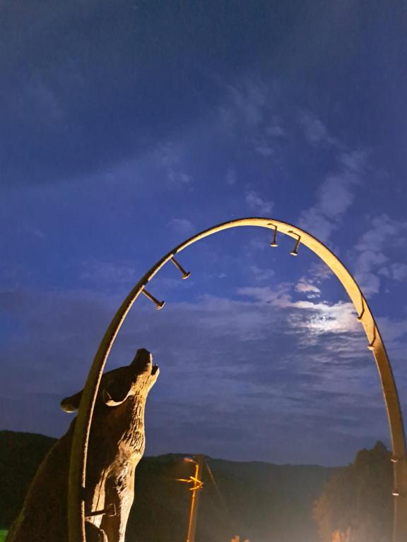 una estatua de un perro sosteniendo una cometa en Le Repère du Loup, en Malbosc