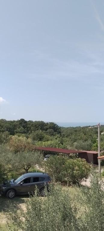 Příroda nedaleko apartmánu