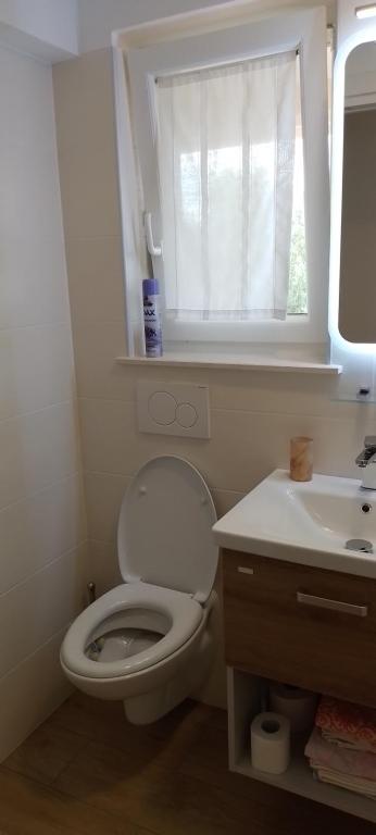 Koupelna v ubytování Apartma Barižoni
