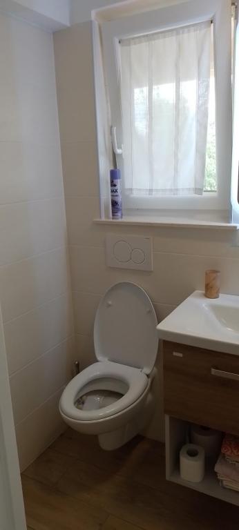 Koupelna v ubytování Apartma Barižoni