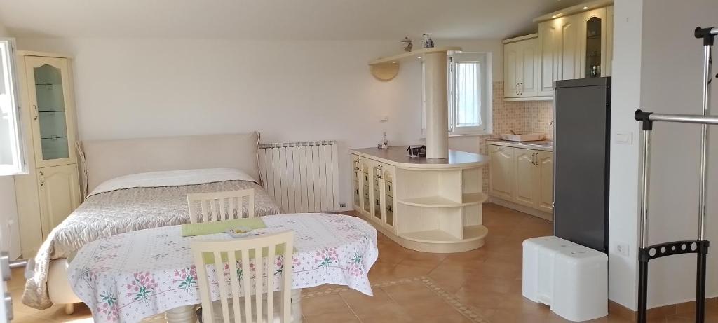 Kuchyň nebo kuchyňský kout v ubytování Apartma Barižoni