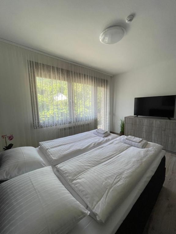 Апартамент Никола и Мария - Budget Double Room