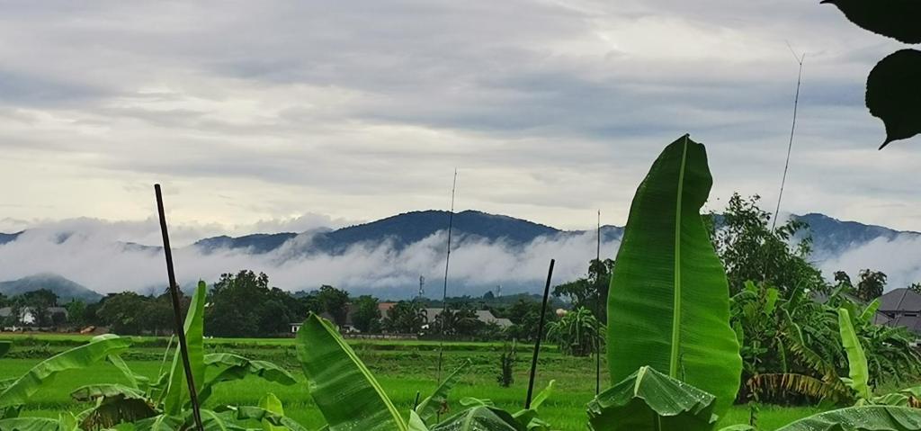 Annahouse - Resim 24