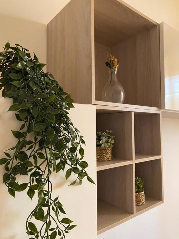 ein Regal mit einer Topfpflanze in einem Raum in der Unterkunft Casangiù in Crispiano