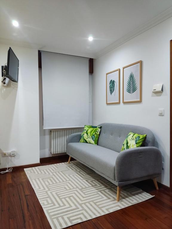 ein Wohnzimmer mit einem Sofa und einem Bildschirm in der Unterkunft Centrico y acogedor, Posibilidad parking 10 euros dia in Vigo