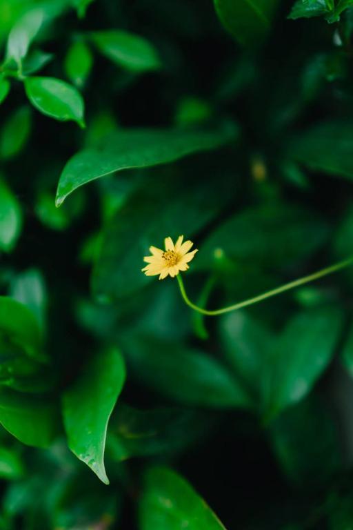 Annahouse - Resim 40