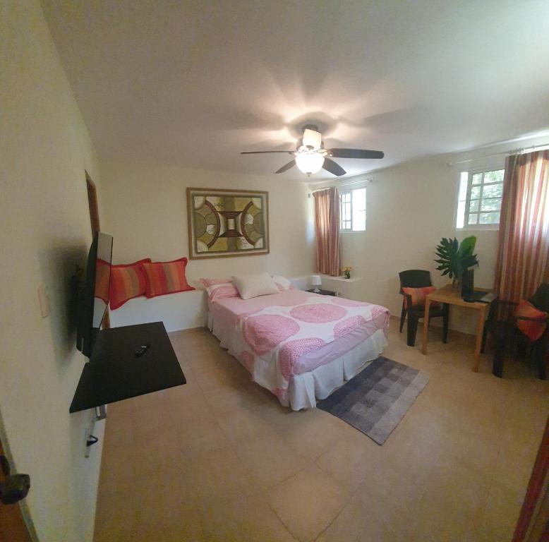 1 dormitorio con 1 cama y ventilador de techo en Private and quiet room, en Jarabacoa
