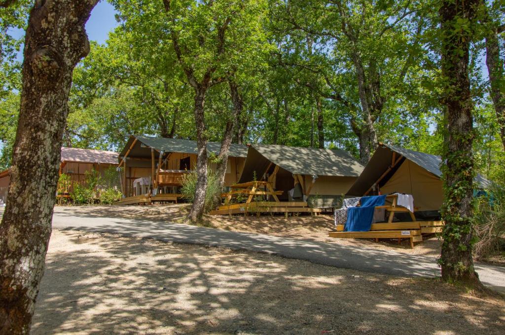 a group of tents in the woods at Luxor Chianti Glamping village in Castellina in Chianti