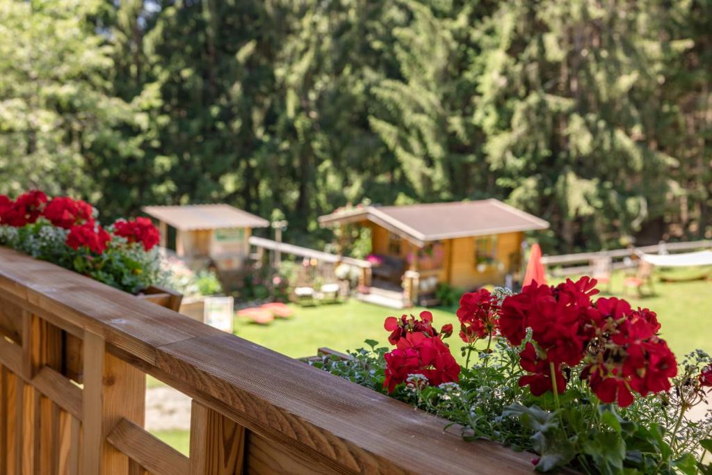Zahrada ubytování Bio-Bergbauernhof Weger