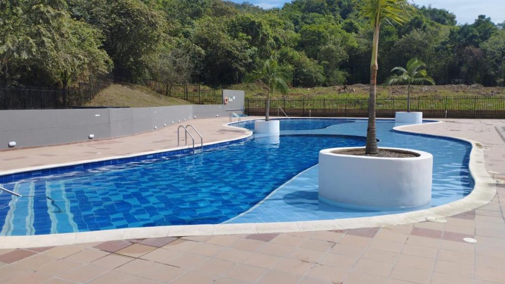 une piscine avec un palmier au milieu dans l'établissement apartamento familiar villeta, à Villeta