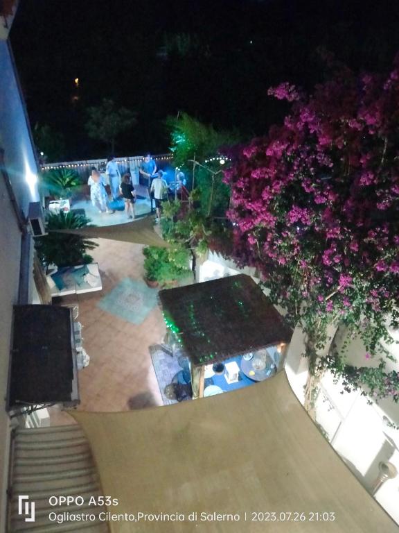 an overhead view of a garden with purple flowers at Corte Risco in Ogliastro Cilento