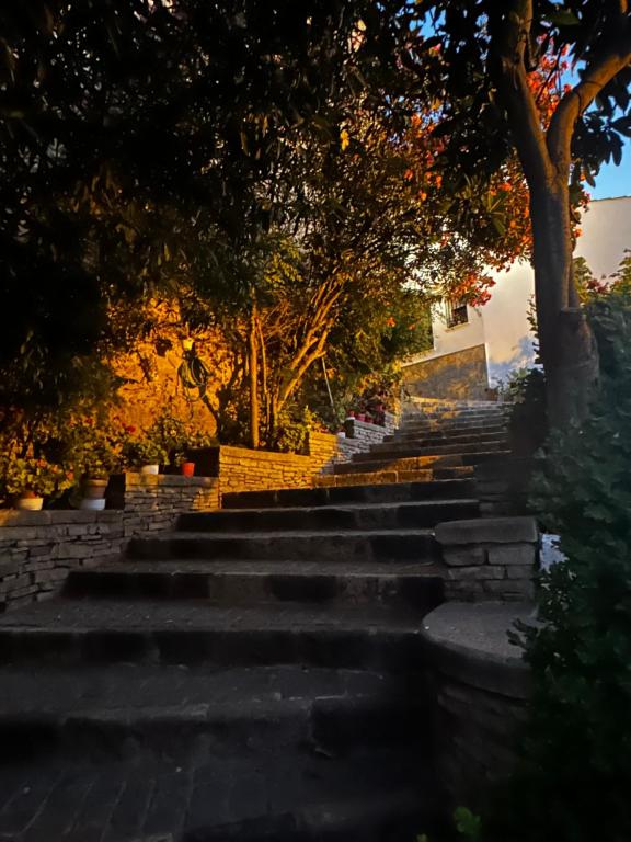 Apartamento ¨El lizón¨ - 13