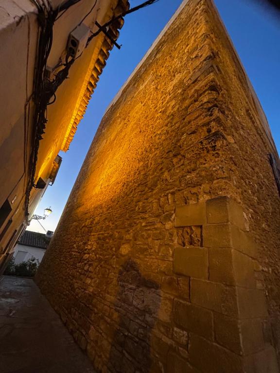 Apartamento ¨El lizón¨ - 14