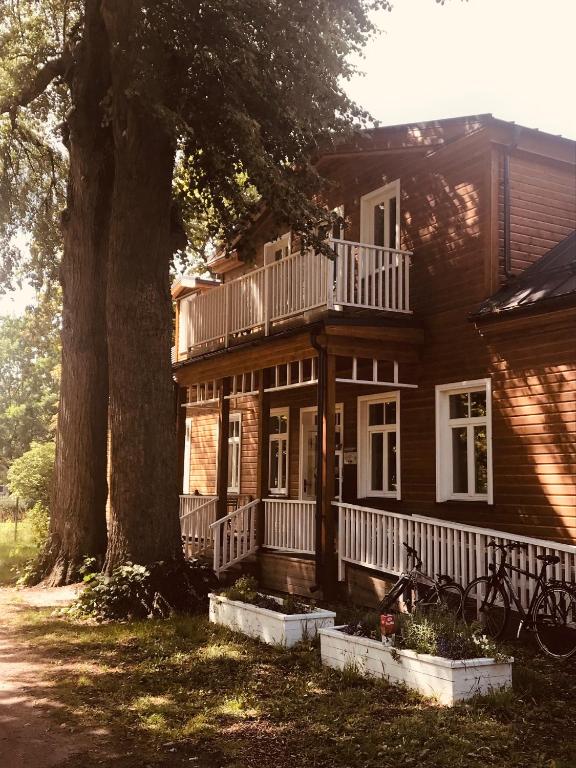 a wooden house with a porch and a tree at Pērlerada room in Engure