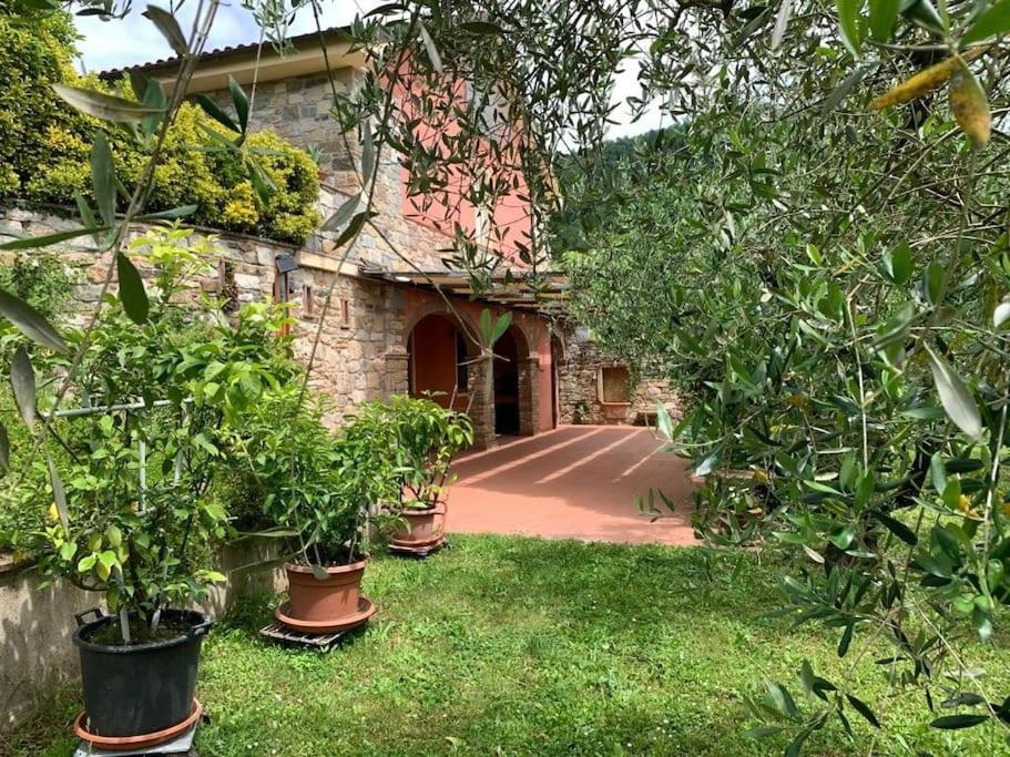 un jardín con macetas frente a un edificio en La casetta al lavatoio, en Borgo a Mozzano
