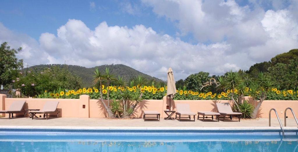 a pool at a resort with chairs and an umbrella at Hostal Restaurante Pou des Lleó in Sant Carles de Peralta