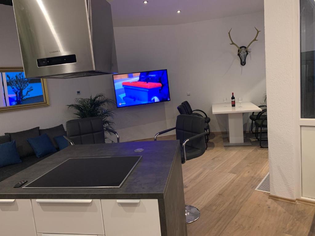 TV a/nebo společenská místnost v ubytování Allgäu Loft Obermaiselstein