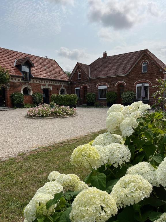 un jardín de flores blancas frente a una casa en Maison 90 m2 (Logement complet), en Miraumont