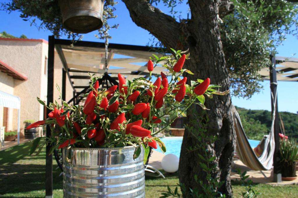 Zahrada ubytování Il Podere dell'Angelo Old Country House