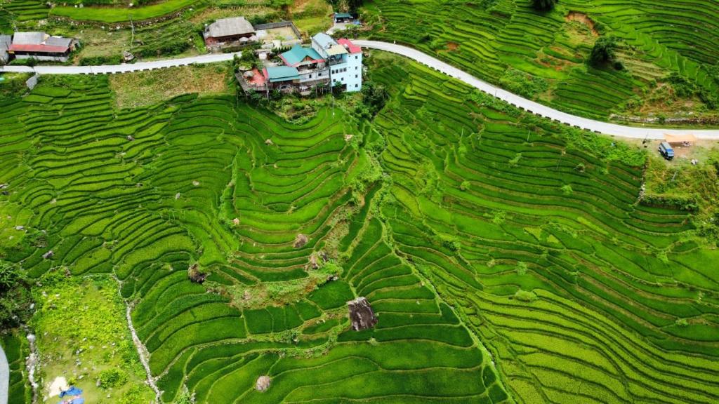 an aerial view of a house in a rice field at Hoa's homestay Sapa in Sa Pa