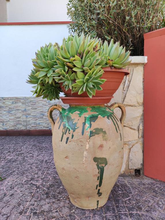 Fotografie z fotogalerie ubytování Contrada Macchia B&B v destinaci Tricase