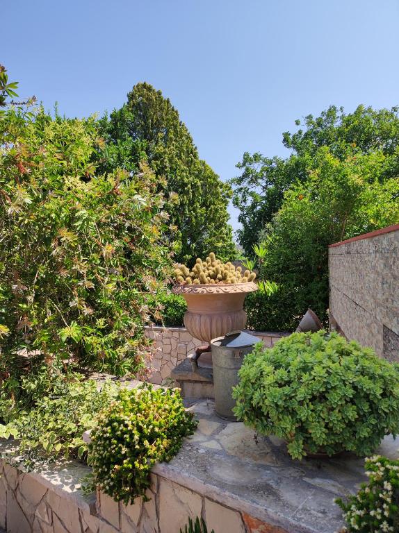 Zahrada ubytování Contrada Macchia B&B