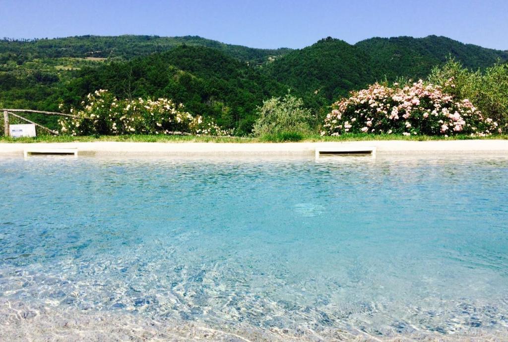 Φυσικό τοπίο κοντά σε αυτό το κατάλυμα σε φάρμα