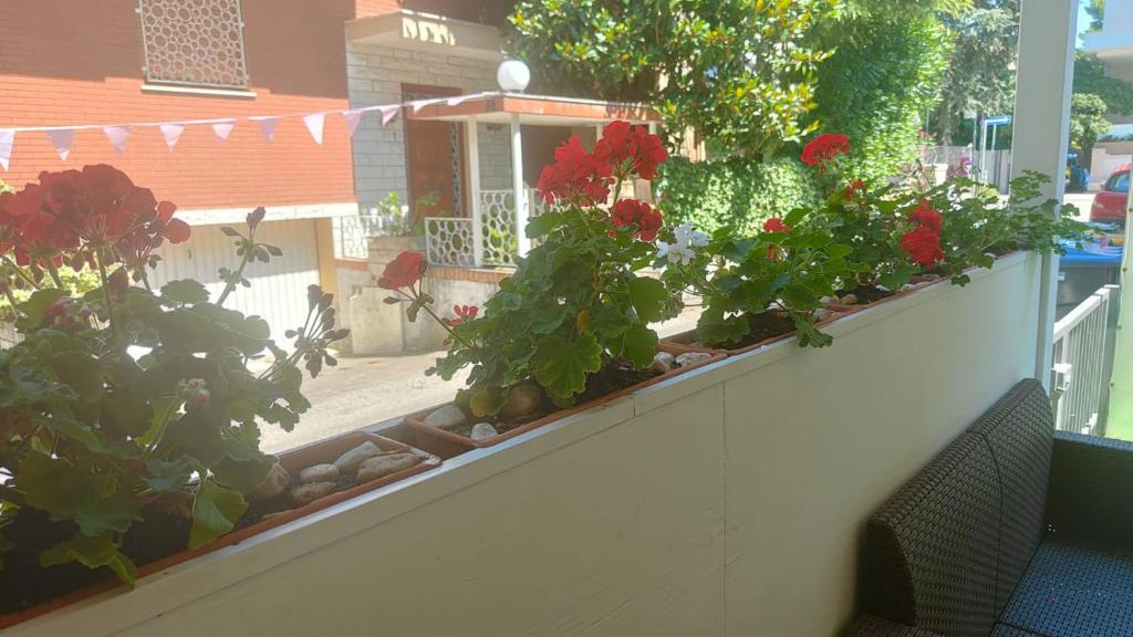 Zahrada ubytování Hotel Eriale Nuova Gestione
