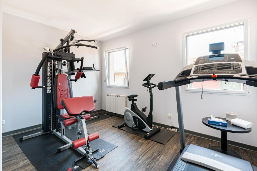 Fitness centrum a/nebo fitness zařízení v ubytování Le Place Neuve