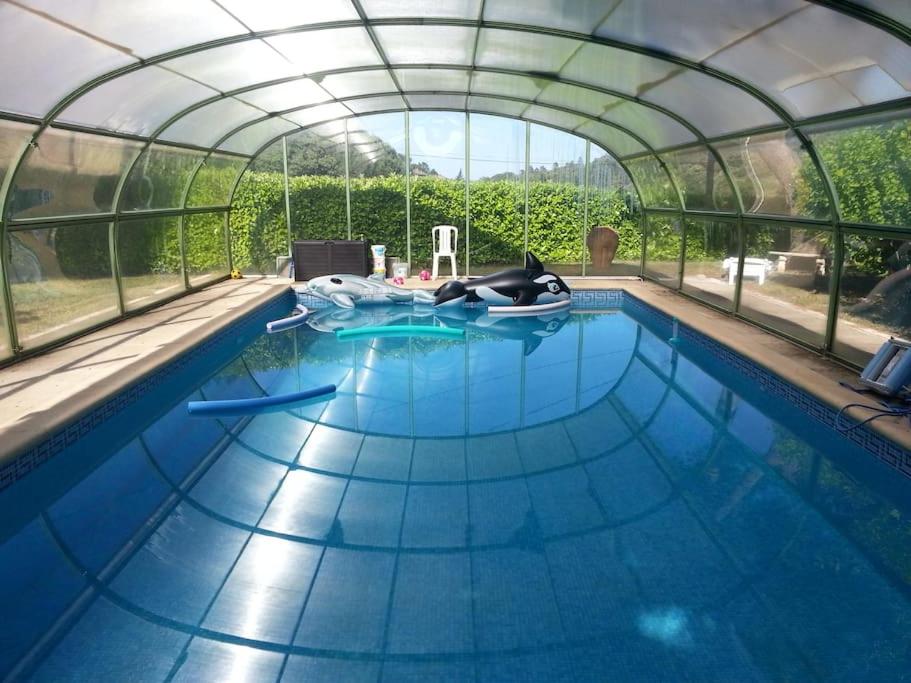 une piscine avec une baleine dans une serre dans l'établissement Appartement au fond du jardin, à Saint Jean du Pin