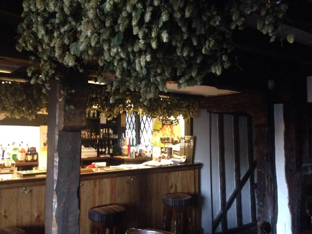 a restaurant with a bar with stools and a tree at The Black Pig Public House in Staple