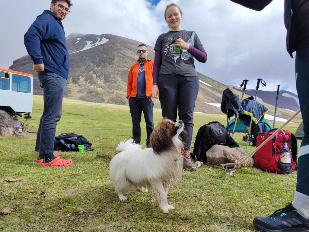 Hosté ubytování Azhdahak Basecamp