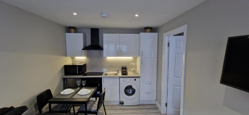 a kitchen with a sink and a washing machine at Cosy Garden Condo in Lucan