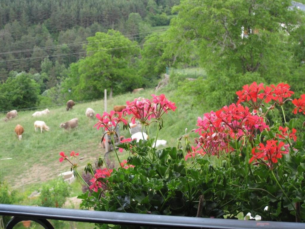 Jardín al aire libre en Casa Muro Ordesa