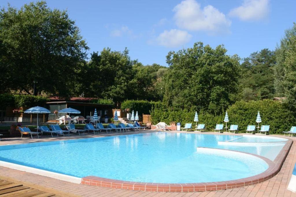 una gran piscina con sillas y sombrillas en 14 Toscana da Vilma, vacanza, piscina - CASA PRIVATA en Castel del Piano