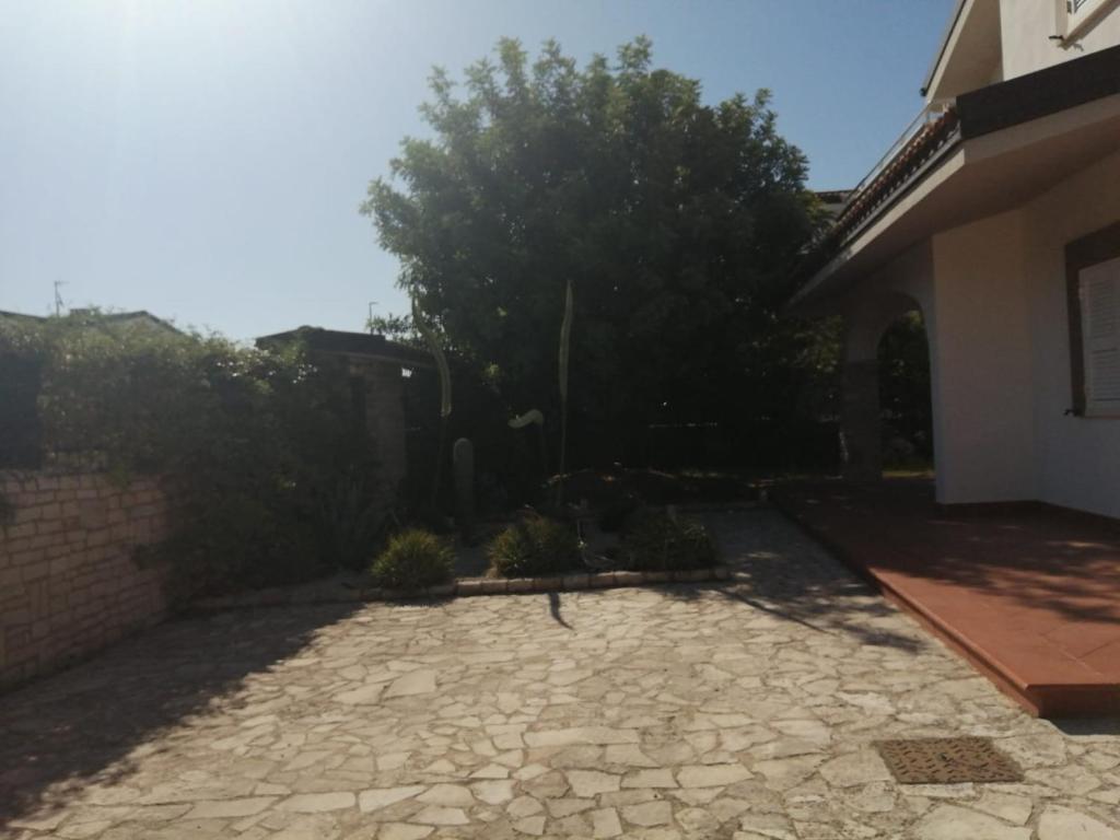 Fotografie z fotogalerie ubytování B&B dei Girasoli v destinaci Trani