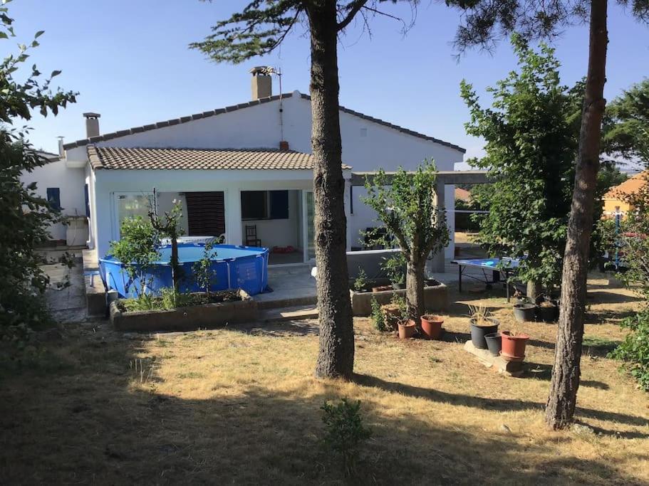 Zahrada ubytování Numancia 12
