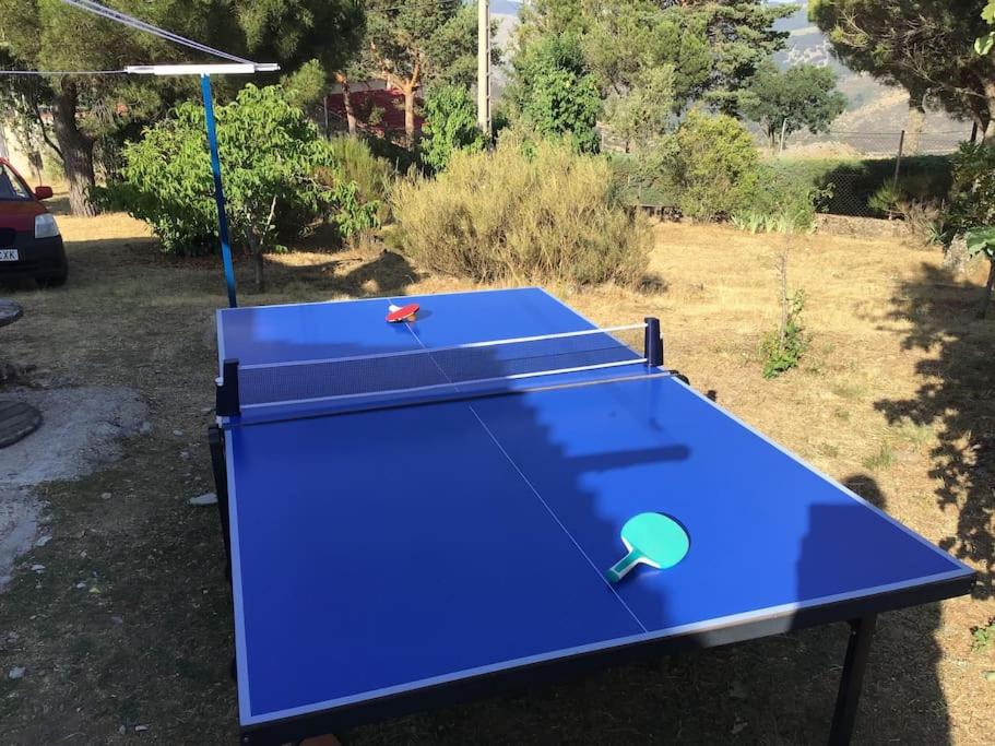 Stolní tenis v ubytování Numancia 12 nebo okolí