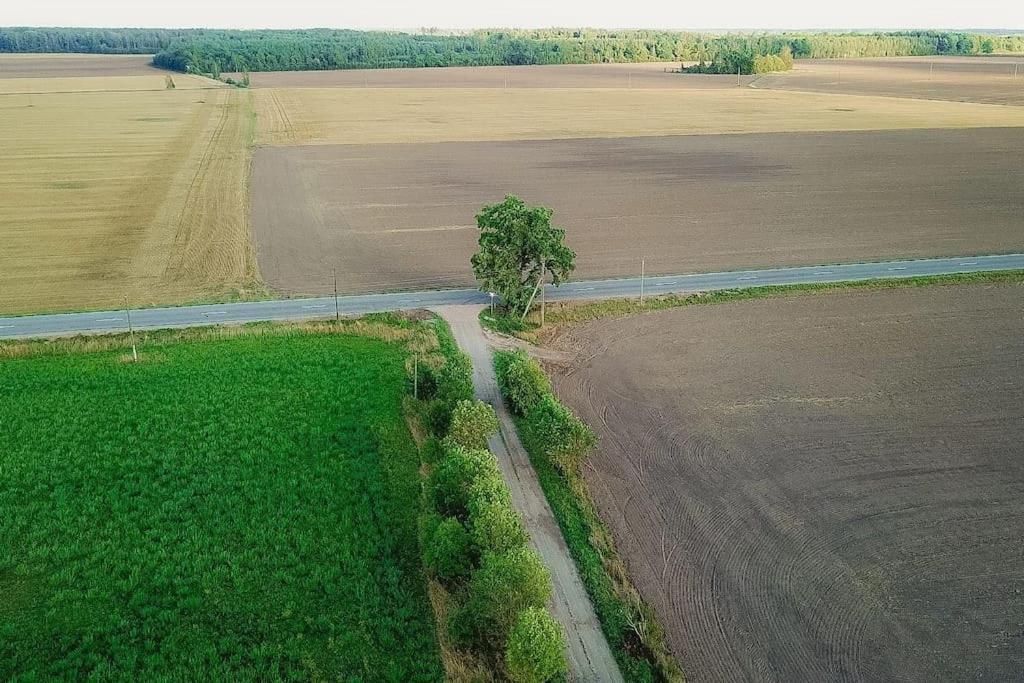 Příroda nedaleko penzionu