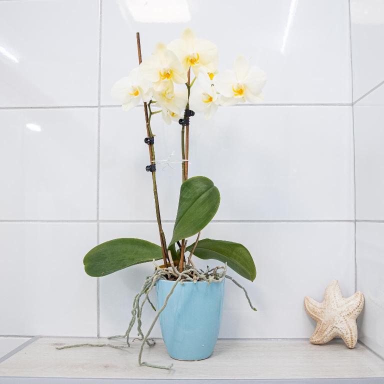 Fotografie z fotogalerie ubytování Apartment MaRI&BoR v Mariboru