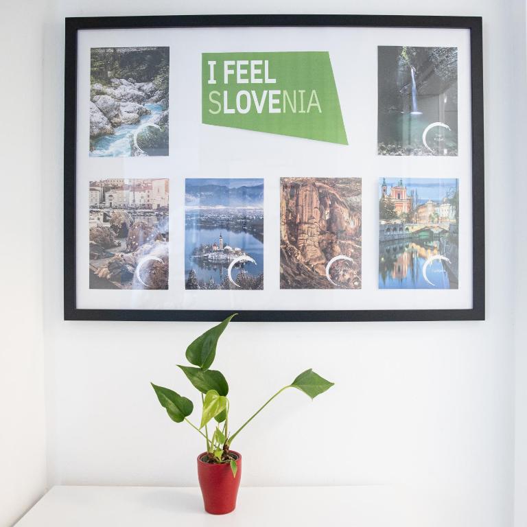 Fotografie z fotogalerie ubytování Apartment MaRI&BoR v Mariboru