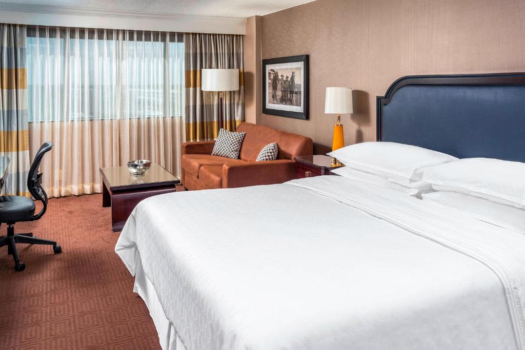 Sheraton North Houston at George Bush Intercontinental - Chambre D'amis, 1 Roi